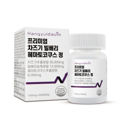 한결다움 프리미엄 차즈기 빌베리 헤마쿠스 정 1000mg*60정